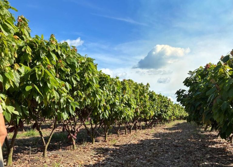 d500d4fe-1ffb-4179-a41c-b3363c32eeba-e1745668978462